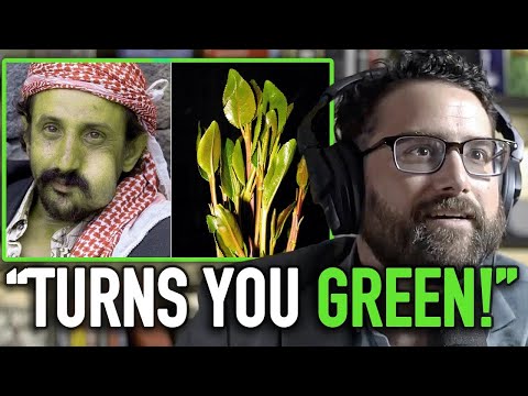 Khat: The Bizarre Effects of Africa's Most Addictive Drug | Eric Czuleger