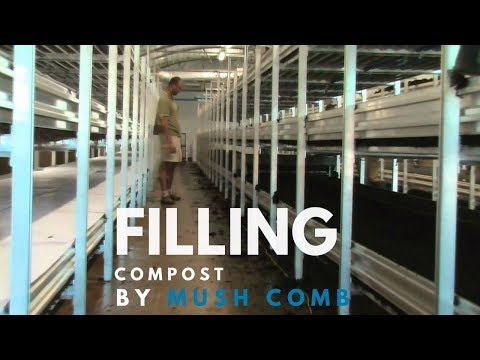 Mushroom Machinery - Successful Filling of Compost with Basic Mushroom Machinery