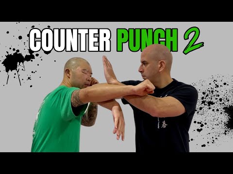 Counter The Most Common Punches - Self Defense Part 2