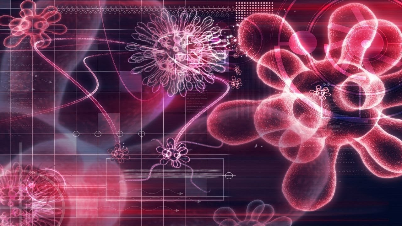 The Evolution Of Viruses | Science Full Documentary | The Deadliest Viruses In The World - YouTube