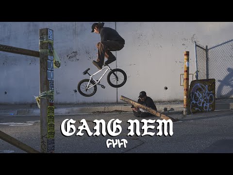 GANG N EM - CULT CREW