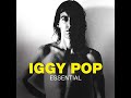 Iggy Pop - Shakin' All Over