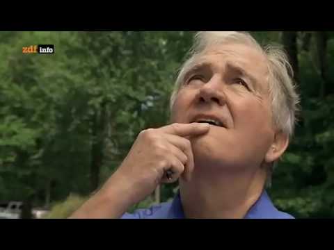 ZDFinfo Doku   Wer ermordete das Lindbergh Baby