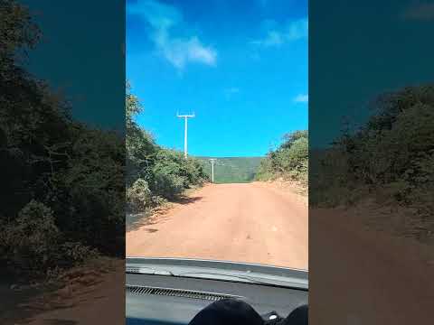 Gentio  do Ouro #bahia