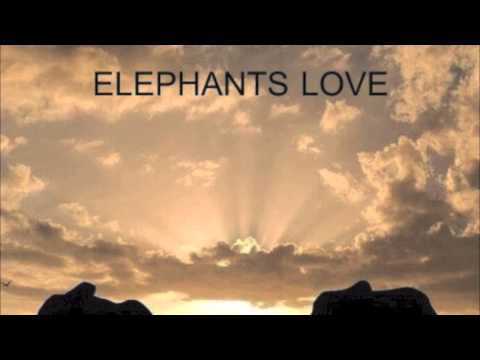 Ten Walls vs Robin S - Elephants Love (Pete Oliver Rework)