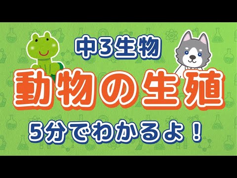 動物の有性生殖:種類と例