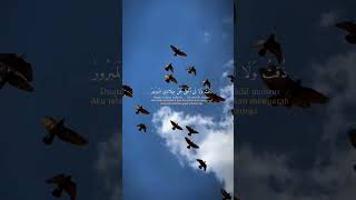 Download lagu duqtu walalan atakhola~ mp3