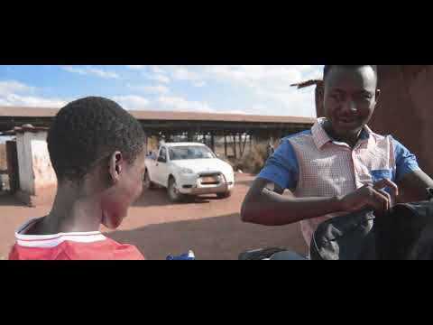 DON TARZ_ ANA INU (Official Music Video)