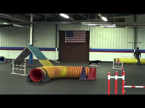 Portia Jackpot CSGC 022815