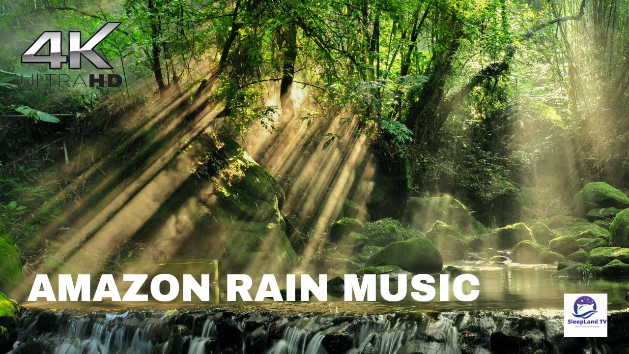 Amazon Rain Music, Amazon Tropical Rainforest Jungle Rain Relaxing Music, Amazon Rain Sounds-3 Hours