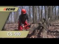 ECHO CS-590-20