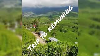 preview picture of video 'Trip to kebun teh kemuning'