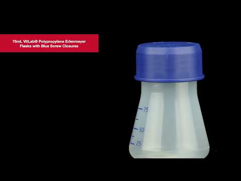 360 Video