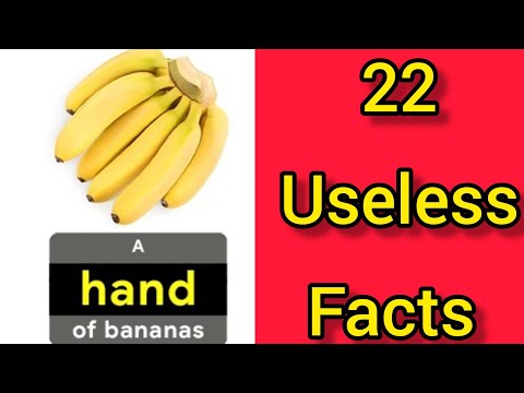 Fun Facts You Need To Know | 22 Useless Facts Trivia Compilation