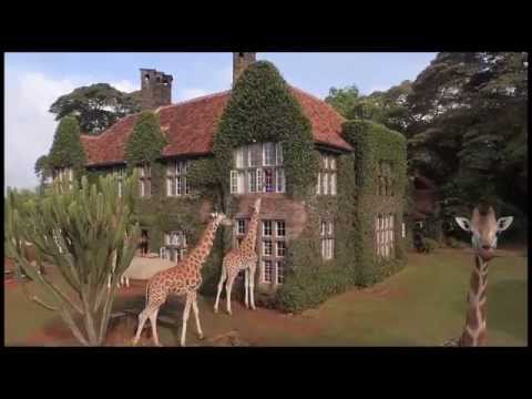 Giraffe Manor 2015