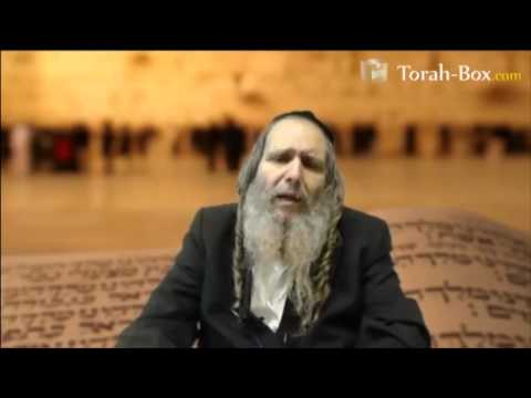 Si Machia'h est censé venir, diut-on arrêter nos études profanes ?