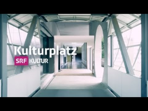 Das Phänomen Houellebecq