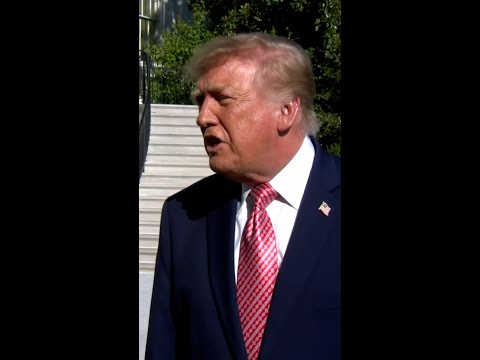 Trump says Zelenskyy needs 'somebody else to negotiate'