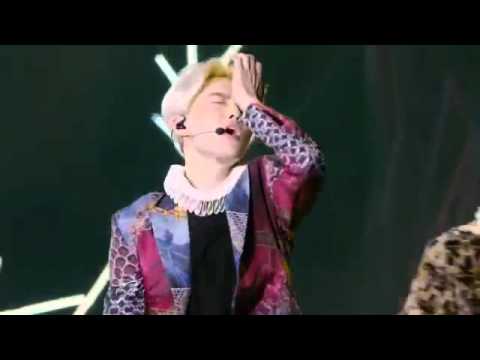 EXO TLP in Seoul Cut - Black Pearl