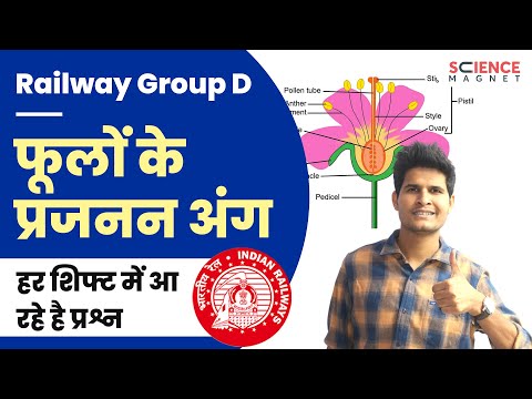 Railway Group D 🤩 Flowers Reproductive Organs (फूलों के प्रजनन अंग) | हर Shift में प्रश्न #neerajsir