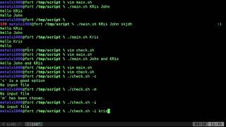 Command Line Arguments with getopts Linux Shell Programming BASH Script Tutorial