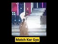 Keerthi Suresh Dance with Ranveer singh | South Actress Keerthi Suresh #shorts #keerthisuresh