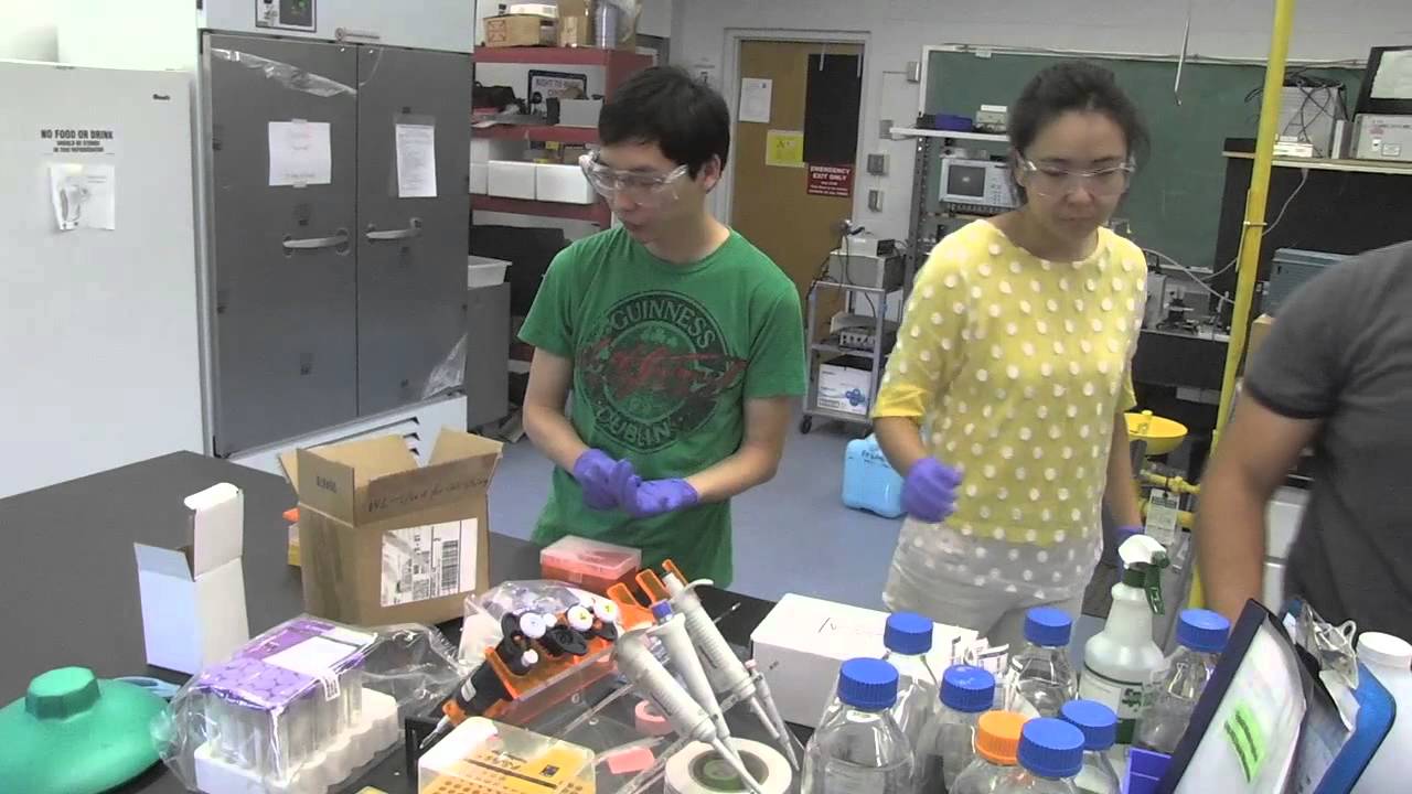 Report: Most STEM College Graduates Not Working In STEM Fields