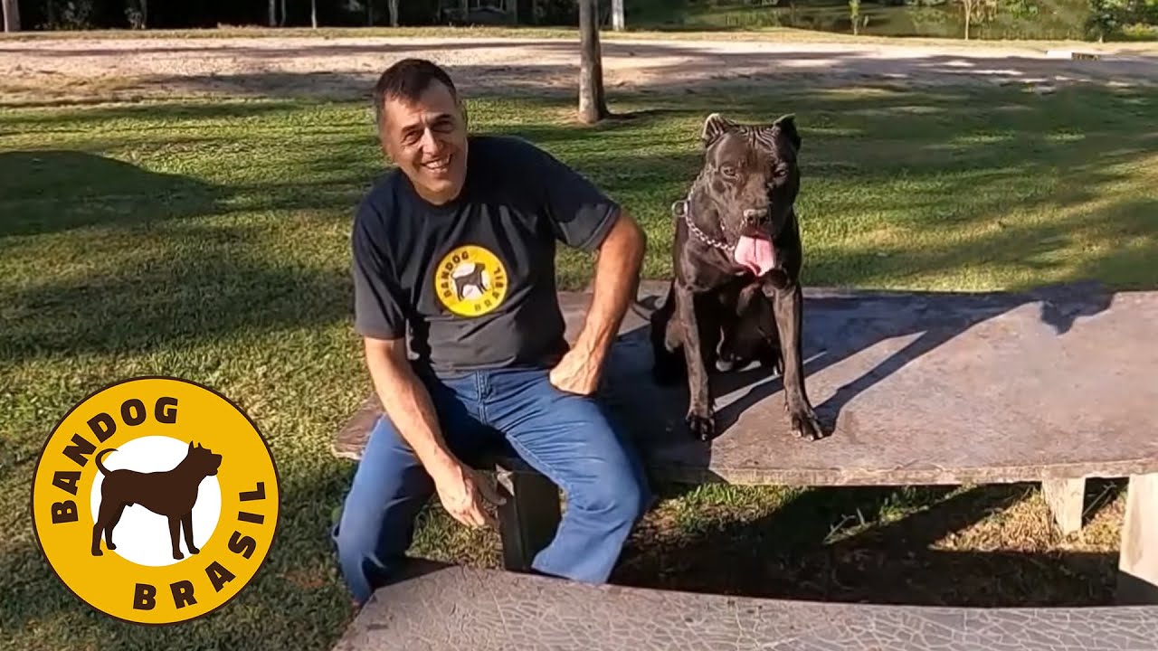 Controle completo da boca do seu cachorro