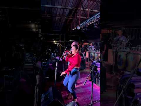 En Vivo Vladimir Atencio y el Manantial del Amor desde La Mesa de Veraguas #Viral #Shorts