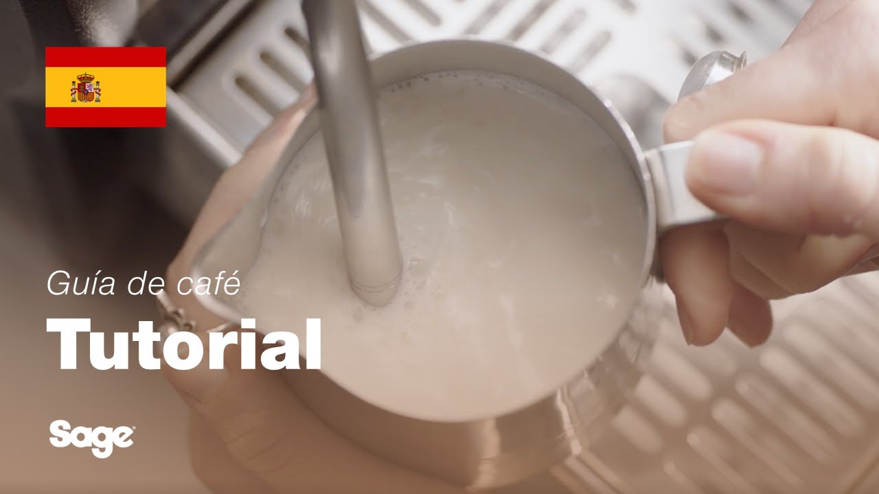 Tutorial de guía de café de Breville - Cómo texturizar automáticamente la leche microespumada