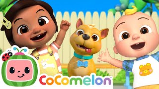 Download lagu Fun Puppy Play Date 🐶🎶| Nina's Familia | CoComelon Nursery Rhymes & Kids Songs mp3