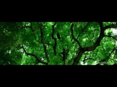 download lagu mp3 mp4 Keno Ba Ale Ba Jorale, download lagu Keno Ba Ale Ba Jorale gratis, unduh video klip Keno Ba Ale Ba Jorale