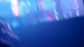 Fool for Love Das pop Radio Soulwax-mas