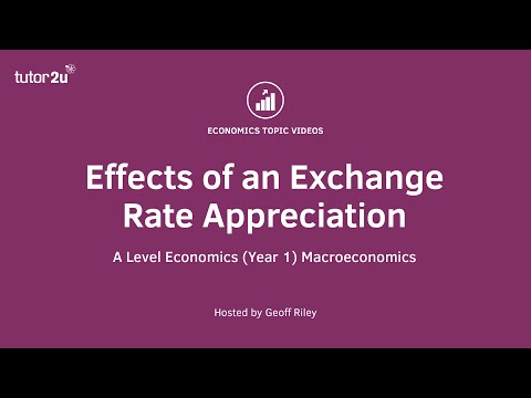Impact of a Currency Appreciation I A Level and IB Economics