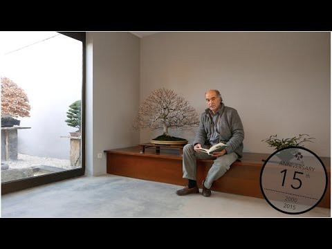 When to repot and prune roots of a Bonsai, Luis Vallejo