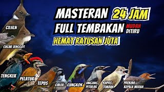Download lagu Masteran Full Tembakan Untuk Burung Fighter Mudah Ditiru mp3