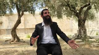 התייחסות למכתבו של הגר"ד ליאור שליט"א בעניין ההשתחוויה | הרב אלישע וולפסון  (ישיבת הר הבית) - התמונה מוצגת ישירות מתוך אתר האינטרנט יוטיוב. זכויות היוצרים בתמונה שייכות ליוצרה. קישור קרדיט למקור התוכן נמצא בתוך דף הסרטון