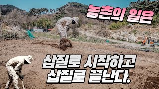 【이 좋은 봄날 시골은 무엇을 할까?】 오늘은 삽질하는 날, 시골생활 브이로그 