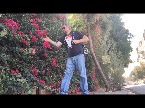 TDW 1579 - You Should Have Never Trusted