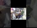 ROVALVER LATHE GANGSTA PARADİSE