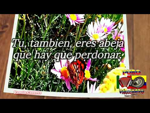 la abejita dinastía romero