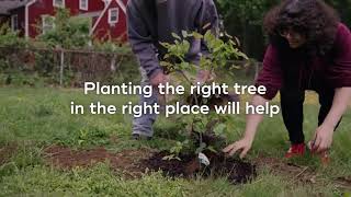 Subaru Loves The Earth Arbor Day Video 2025