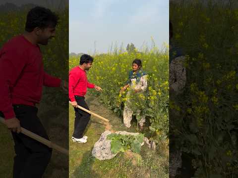 सरसों के खेत मैं अकेले लड़की को पकड़ा 😳#humanity #respect #helping #trending #viralvideo #youtube
