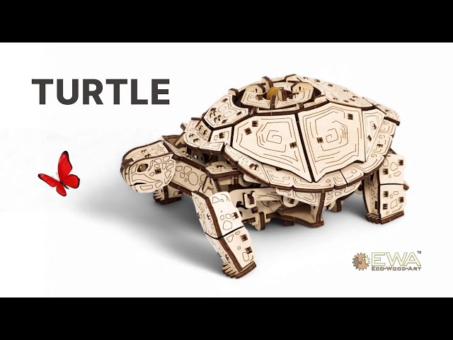 Vidéo teaser pour Turtle EWA