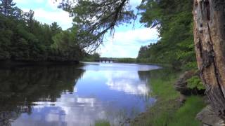 preview picture of video 'NB1D8 - 13 acres waterfront in Main River, NB'