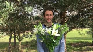 Snapdragons, lilies and Claude