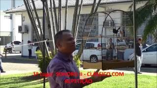 CURIÓ SONORO