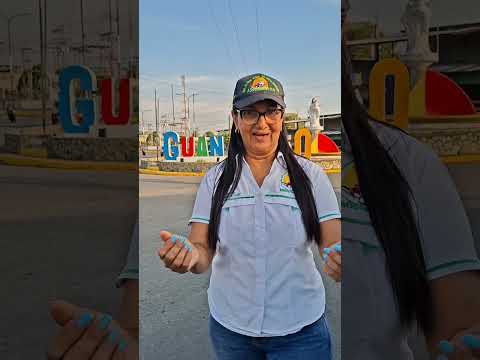 EXPOFEDECAMARAS PORTUGUESA 2026
