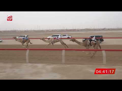  ش 5 (إعلان) لـ حمد محمد بن حمرور العامري 6:35:77 ، مهرجان العين 2026/08/09 حول وزمول الوثبة