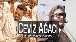 Ceviz Ağacı Şiirinin Hikayesi Nedir?